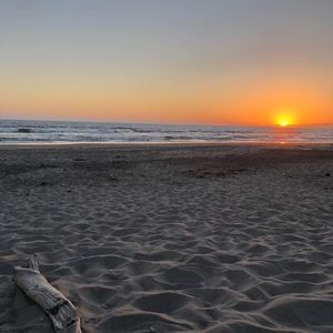 Meet your Posher, Athena